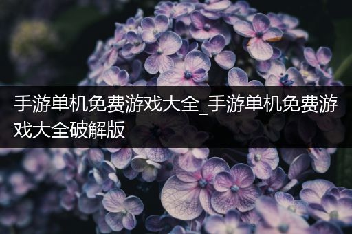 手游单机免费游戏大全_手游单机免费游戏大全破解版