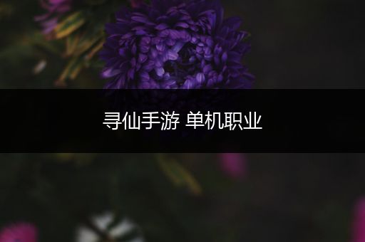 寻仙手游 单机职业