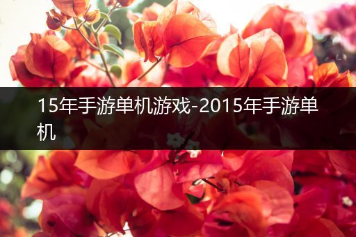 15年手游单机游戏-2015年手游单机