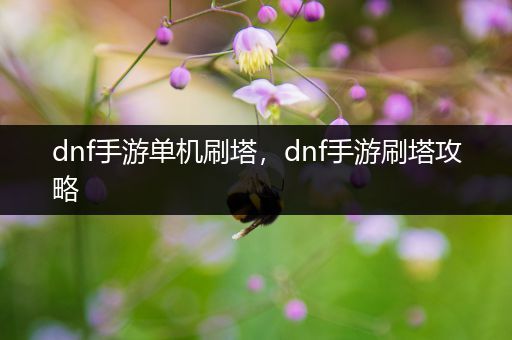 dnf手游单机刷塔，dnf手游刷塔攻略