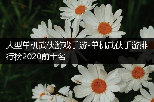 大型单机武侠游戏手游-单机武侠手游排行榜2020前十名