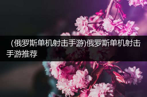 （俄罗斯单机射击手游)俄罗斯单机射击手游推荐