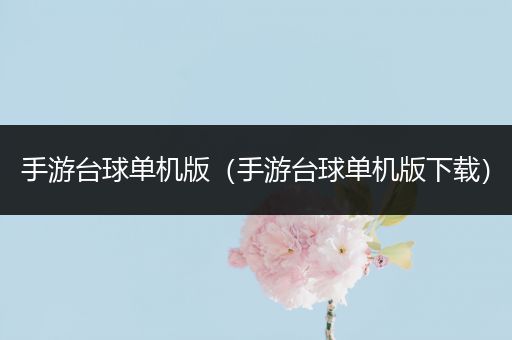 手游台球单机版（手游台球单机版下载）