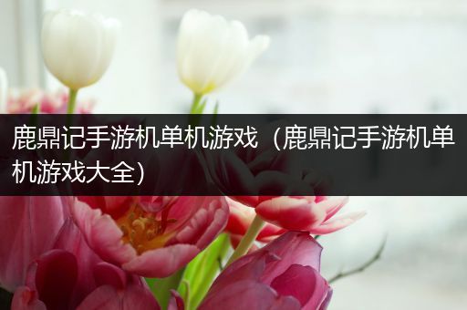 鹿鼎记手游机单机游戏（鹿鼎记手游机单机游戏大全）