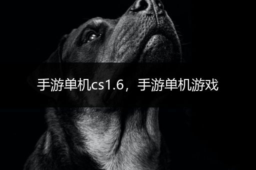 手游单机cs1.6，手游单机游戏