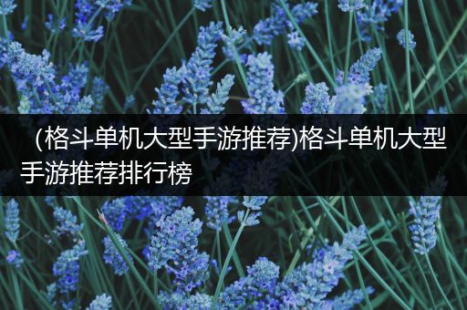 （格斗单机大型手游推荐)格斗单机大型手游推荐排行榜