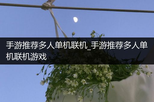 手游推荐多人单机联机_手游推荐多人单机联机游戏