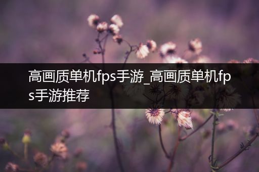 高画质单机fps手游_高画质单机fps手游推荐