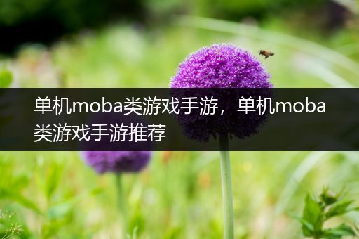 单机moba类游戏手游，单机moba类游戏手游推荐