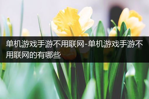 单机游戏手游不用联网-单机游戏手游不用联网的有哪些