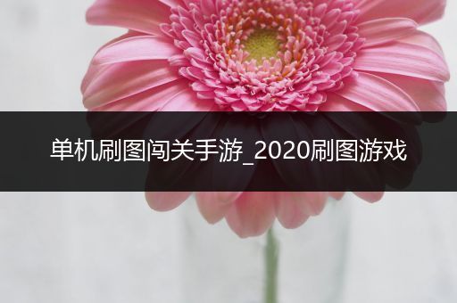 单机刷图闯关手游_2020刷图游戏