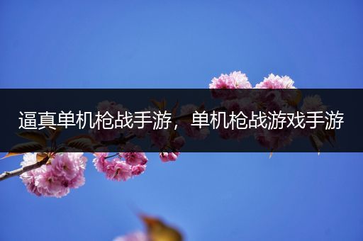 逼真单机枪战手游，单机枪战游戏手游