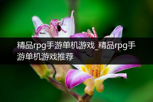 精品rpg手游单机游戏_精品rpg手游单机游戏推荐