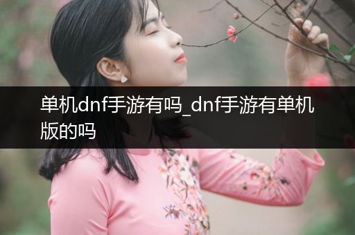 单机dnf手游有吗_dnf手游有单机版的吗