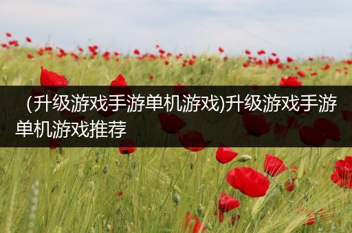 （升级游戏手游单机游戏)升级游戏手游单机游戏推荐