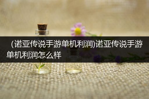 （诺亚传说手游单机利润)诺亚传说手游单机利润怎么样