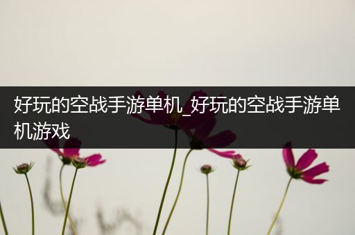 好玩的空战手游单机_好玩的空战手游单机游戏