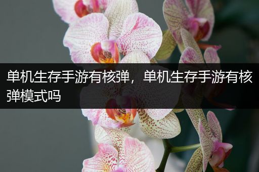 单机生存手游有核弹，单机生存手游有核弹模式吗