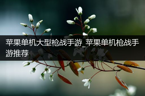 苹果单机大型枪战手游_苹果单机枪战手游推荐