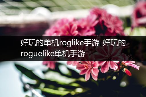 好玩的单机roglike手游-好玩的roguelike单机手游