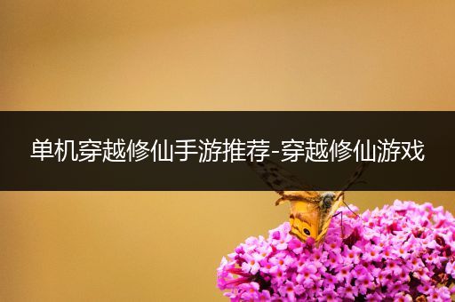 单机穿越修仙手游推荐-穿越修仙游戏