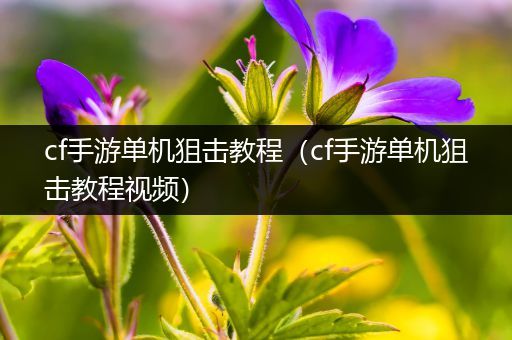 cf手游单机狙击教程（cf手游单机狙击教程视频）