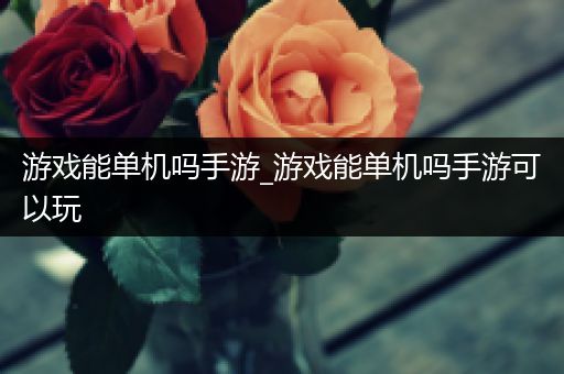 游戏能单机吗手游_游戏能单机吗手游可以玩