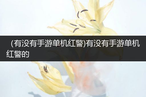 （有没有手游单机红警)有没有手游单机红警的