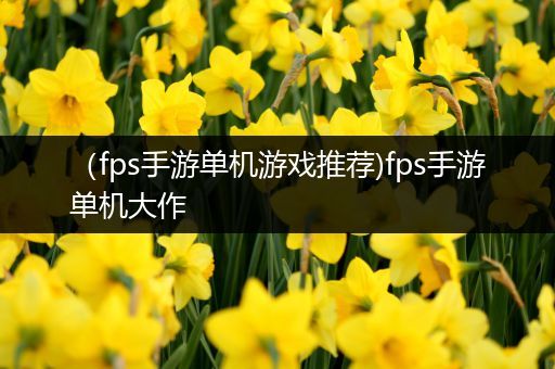 （fps手游单机游戏推荐)fps手游单机大作