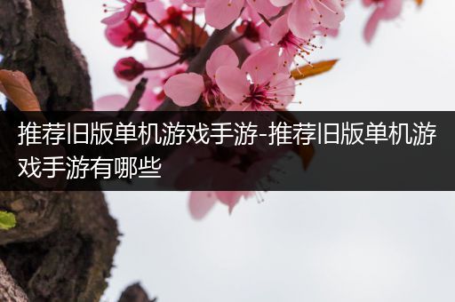 推荐旧版单机游戏手游-推荐旧版单机游戏手游有哪些