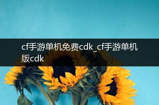 cf手游单机免费cdk_cf手游单机版cdk