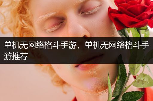 单机无网络格斗手游，单机无网络格斗手游推荐