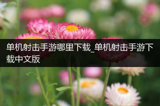 单机射击手游哪里下载_单机射击手游下载中文版