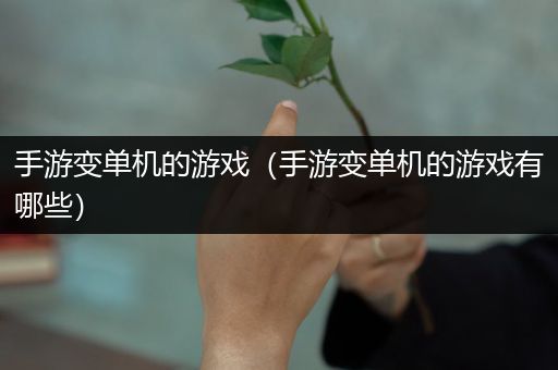 手游变单机的游戏（手游变单机的游戏有哪些）