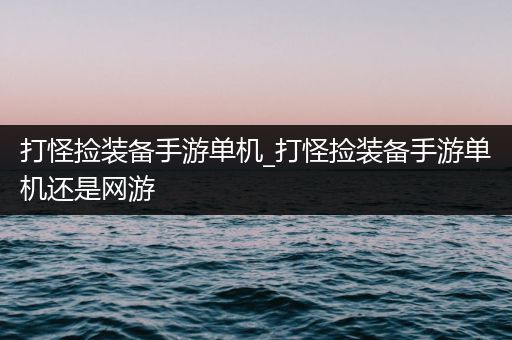 打怪捡装备手游单机_打怪捡装备手游单机还是网游