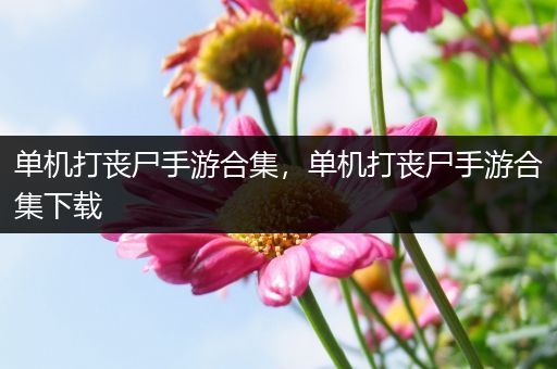 单机打丧尸手游合集，单机打丧尸手游合集下载