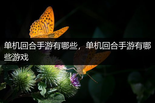 单机回合手游有哪些，单机回合手游有哪些游戏