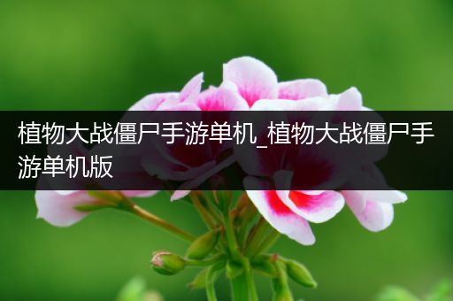 植物大战僵尸手游单机_植物大战僵尸手游单机版