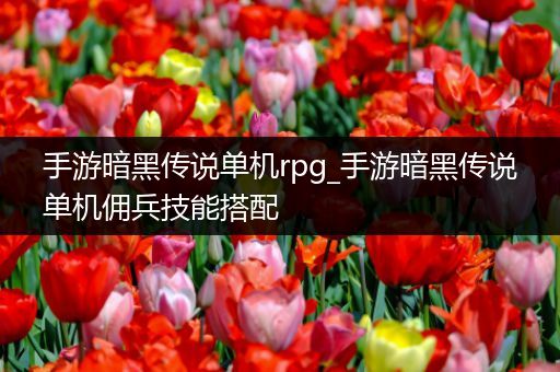 手游暗黑传说单机rpg_手游暗黑传说单机佣兵技能搭配