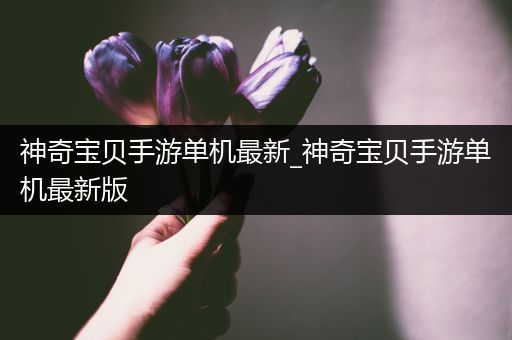 神奇宝贝手游单机最新_神奇宝贝手游单机最新版