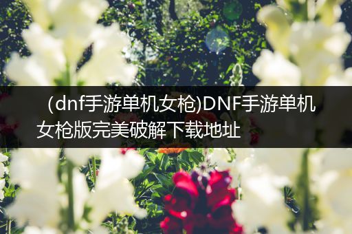 （dnf手游单机女枪)DNF手游单机女枪版完美破解下载地址