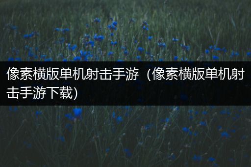 像素横版单机射击手游（像素横版单机射击手游下载）