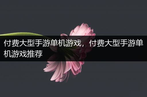 付费大型手游单机游戏，付费大型手游单机游戏推荐