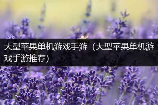 大型苹果单机游戏手游（大型苹果单机游戏手游推荐）