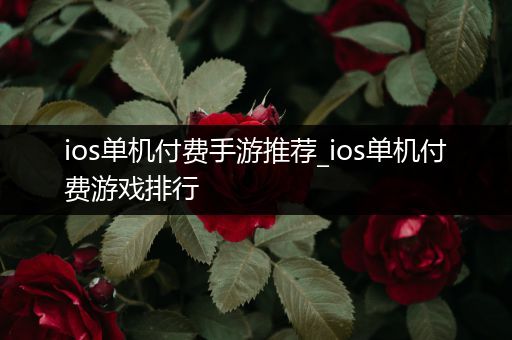 ios单机付费手游推荐_ios单机付费游戏排行