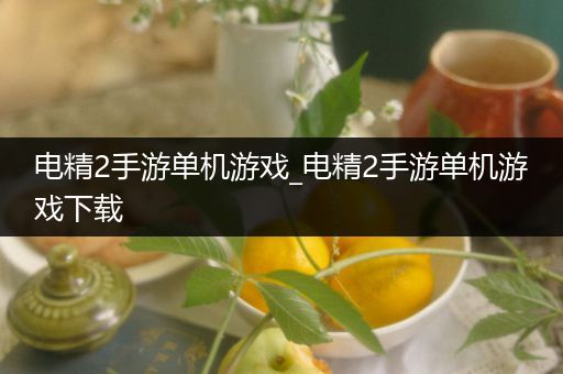 电精2手游单机游戏_电精2手游单机游戏下载