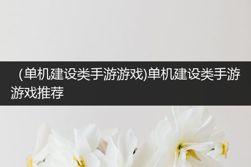 （单机建设类手游游戏)单机建设类手游游戏推荐