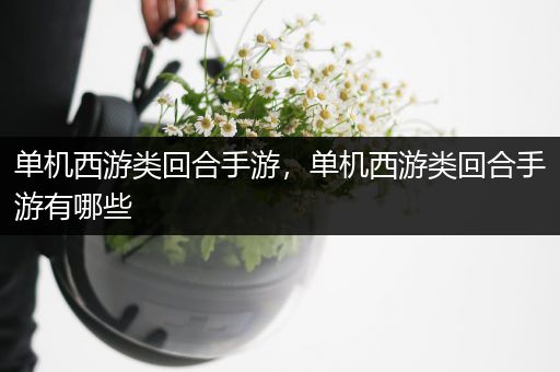 单机西游类回合手游，单机西游类回合手游有哪些