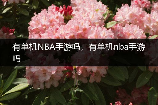 有单机NBA手游吗，有单机nba手游吗