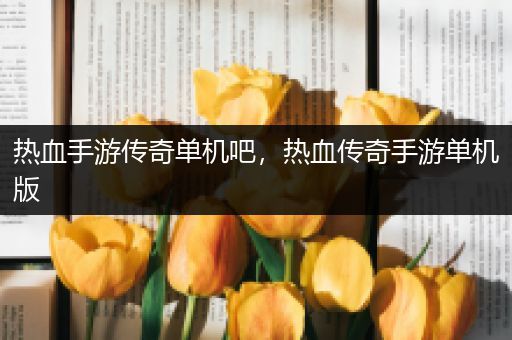 热血手游传奇单机吧，热血传奇手游单机版